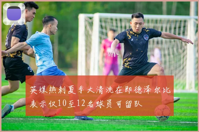 英媒热刺夏季大清洗在即德泽尔比表示仅10至12名球员可留队